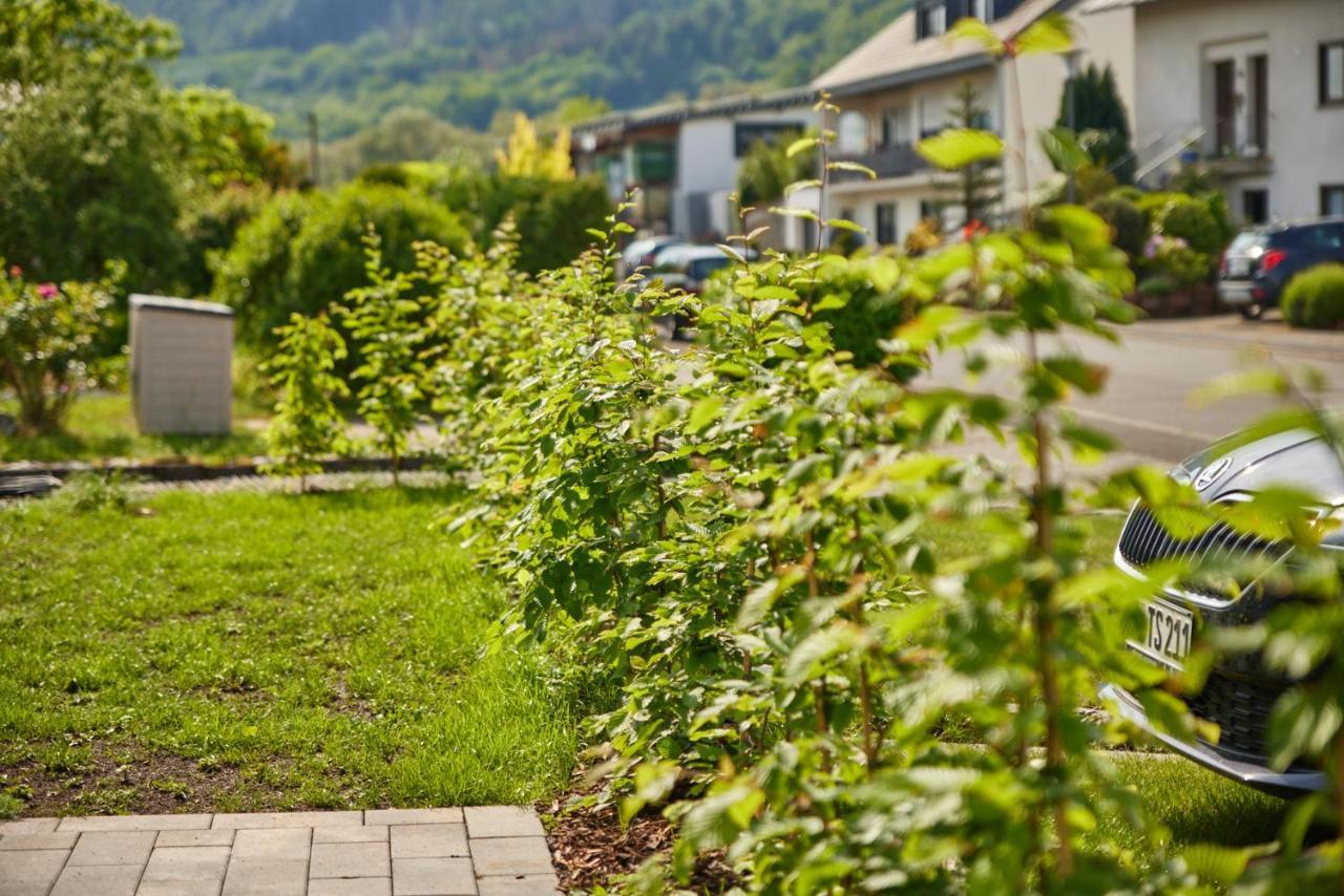 Mittelmosel Panorama Ferienwohnung Kinheim Ngoại thất bức ảnh